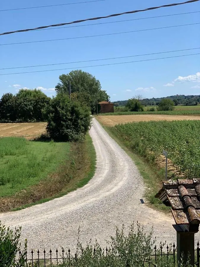 Il Falco Croce